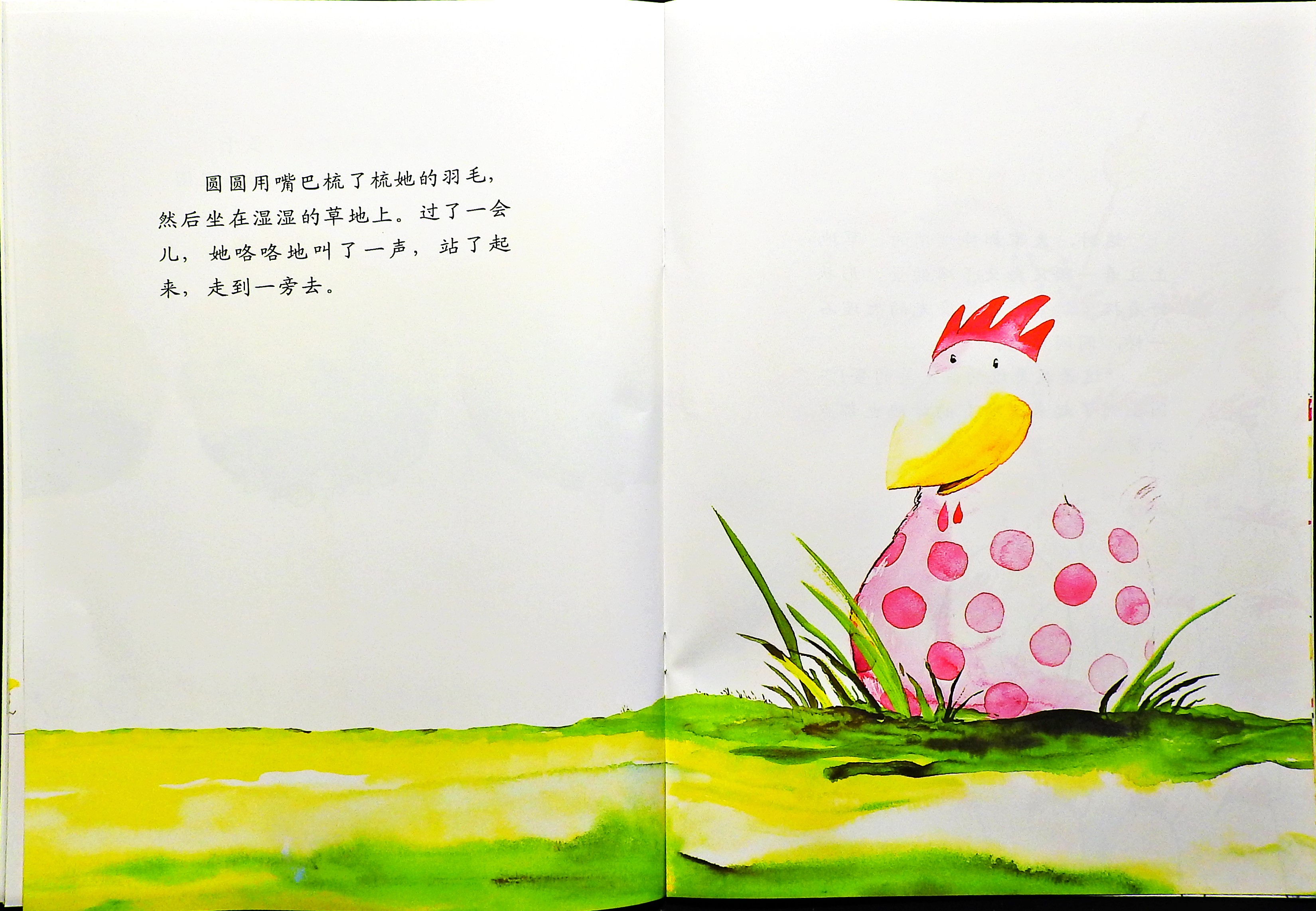 最奇妙的蛋 (08),绘本,绘本故事,绘本阅读,故事书,童书,图画书,课外阅读